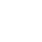 american academy of pediatric dentistry